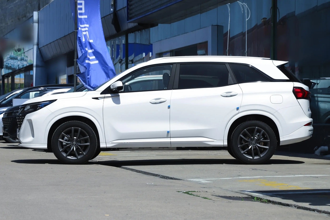 Blue Electric E5 Seres auto elettrica per una guida economica e senza emissioni