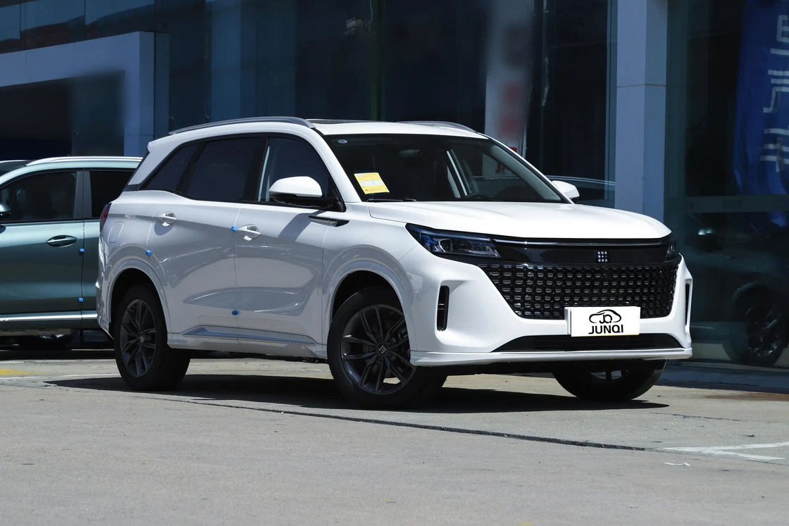 5 posti AWD Seres Auto elettrica SUV 120 cavalli e guida senza emissioni