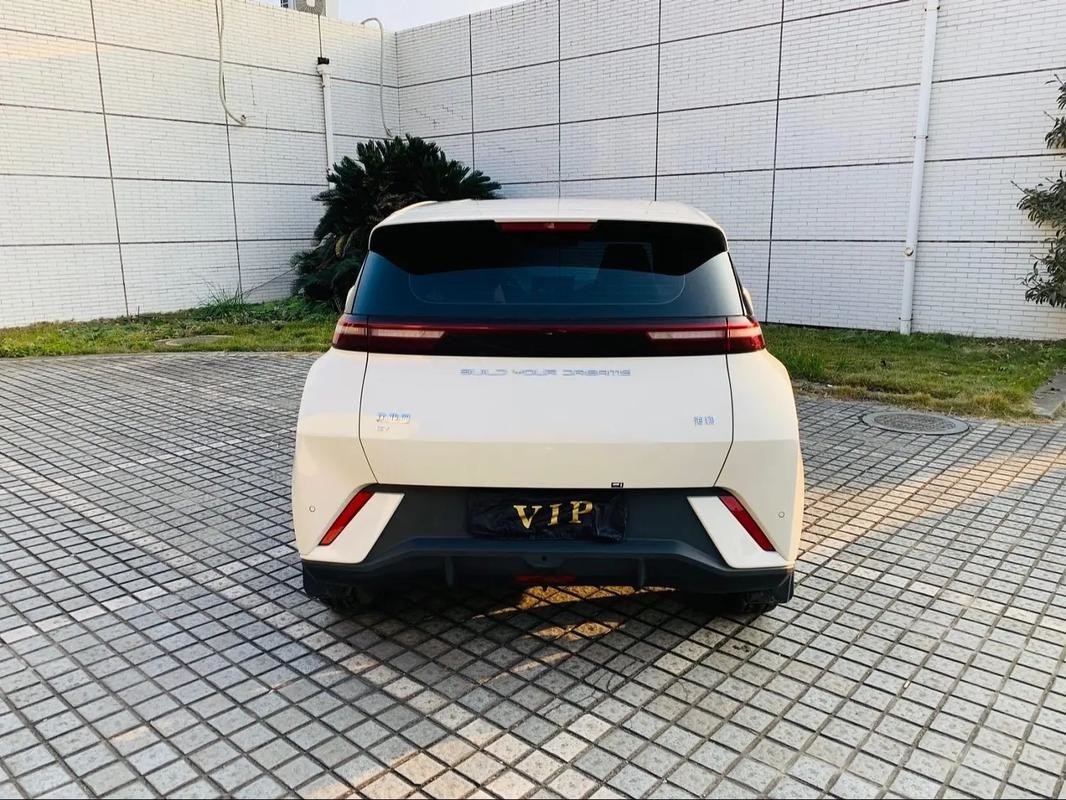 Byd Seagull 2024 Honor Edition 305km Edizione gratuita Auto elettrica Veicoli a nuova energia